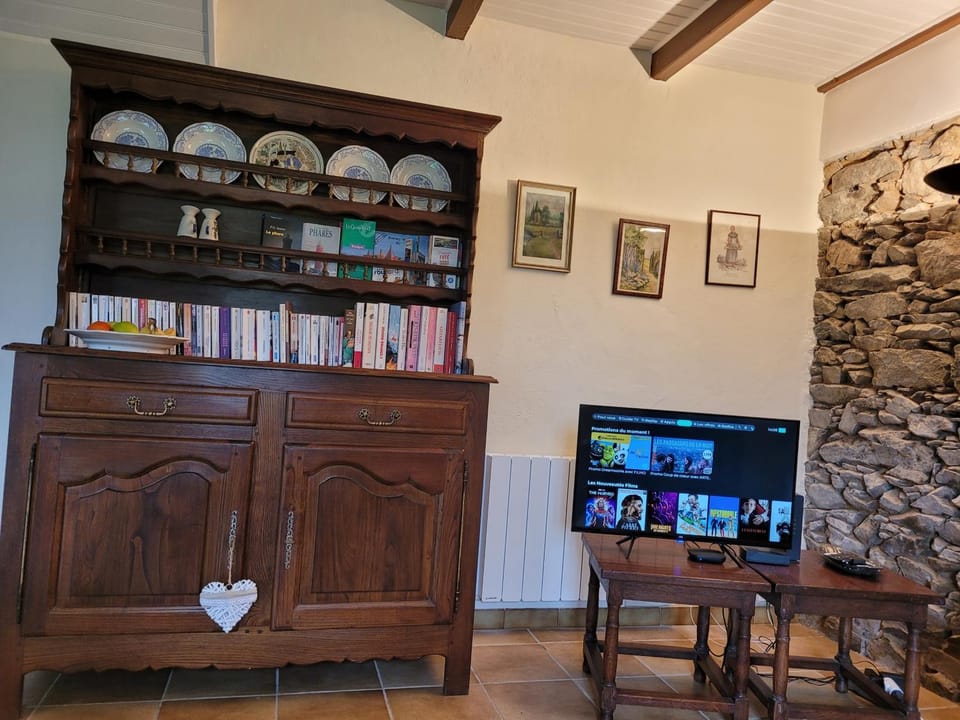 TV and multimedia