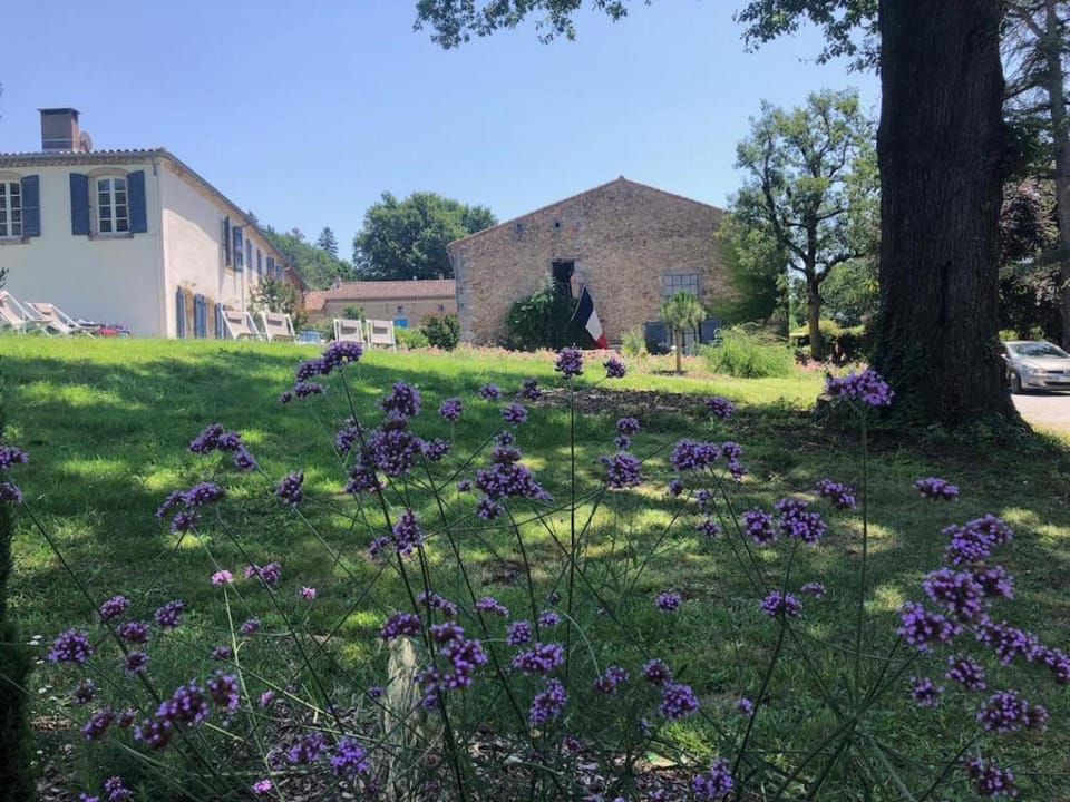 Domaine de la laugerie - relais du consul House in Occitanie