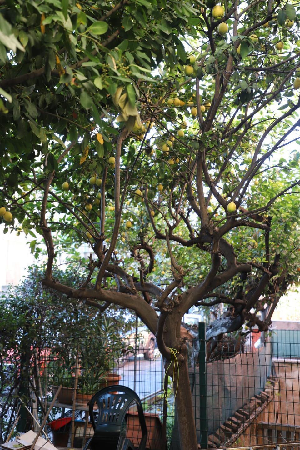 Casa con Giardino a Roma, 2 Camere, Ideale per Famiglie, 15 minuti dal Colosseo, 5 minuti da Mirti Apartment in Rome