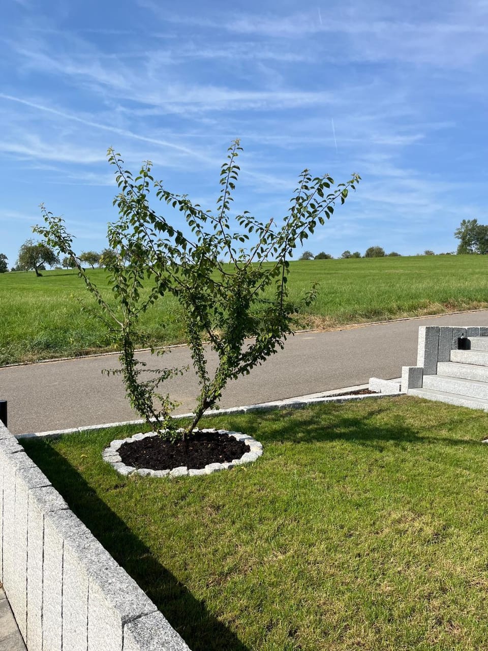 Property building, Garden view, Garden view