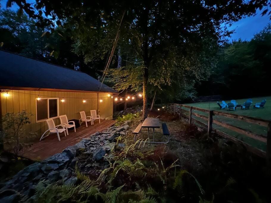 Patio, Spring, Night, Natural landscape, Garden view