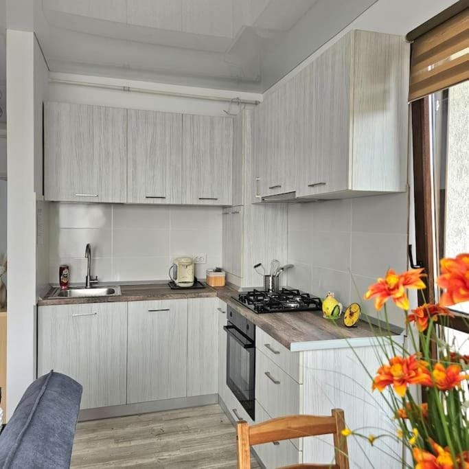 Coffee/tea facilities, Kitchen or kitchenette, dishwasher, pet friendly, stove