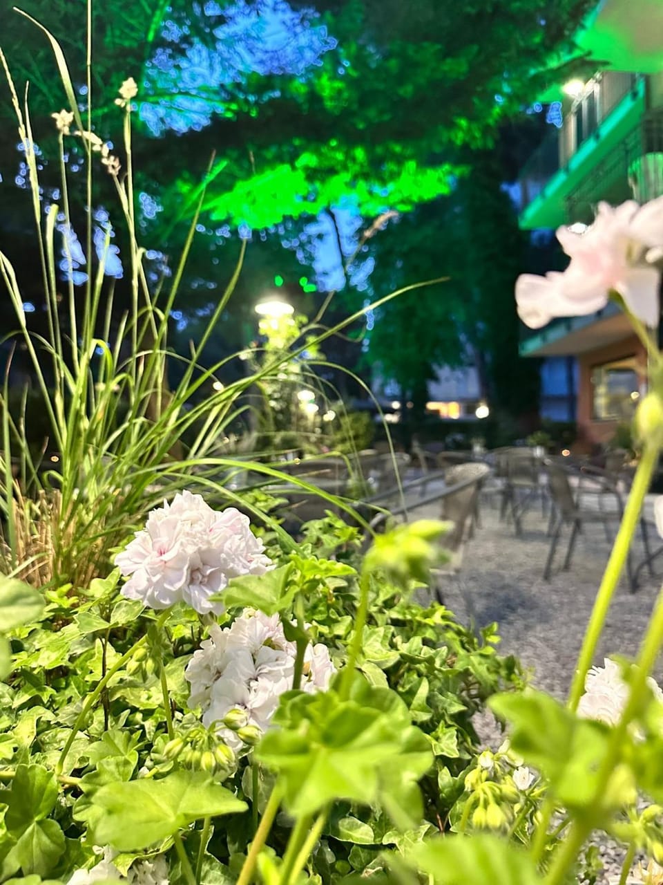 Hotel B&B Des Bains Milano Marittima Hotel in Milano Marittima