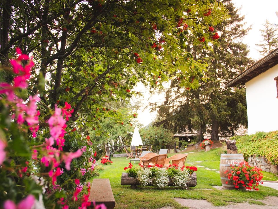 Garden view