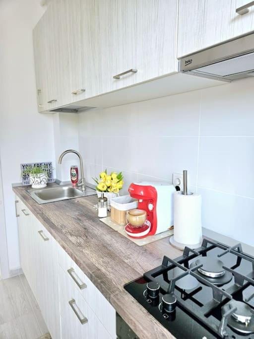 Cozy SoRaDa 1 apartment Apartment in Bucharest