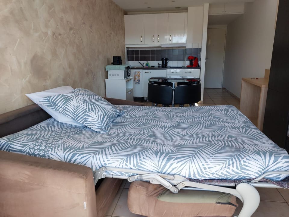Studio de La Vigne - Axelle Loc'Appart Apartment in Mandelieu-La Napoule