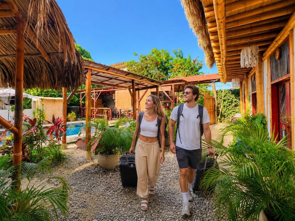 Guests, Area and facilities, Time of day, sunbed