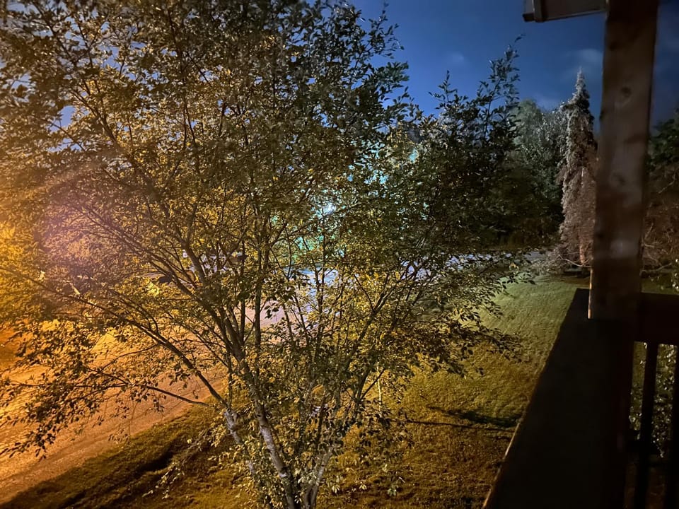 Quiet street view