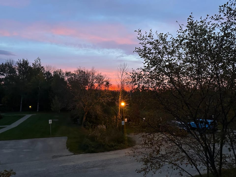 View (from property/room)