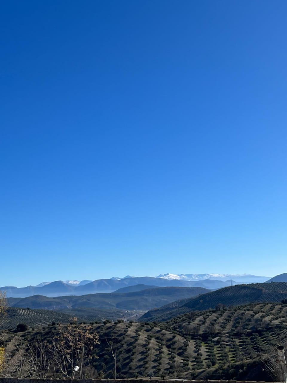 Mountain view