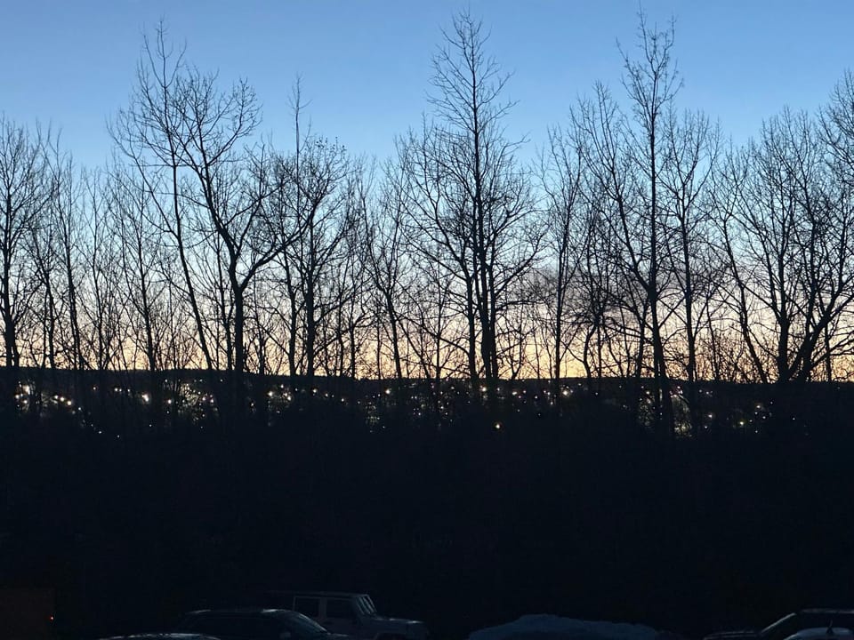 Mountain view