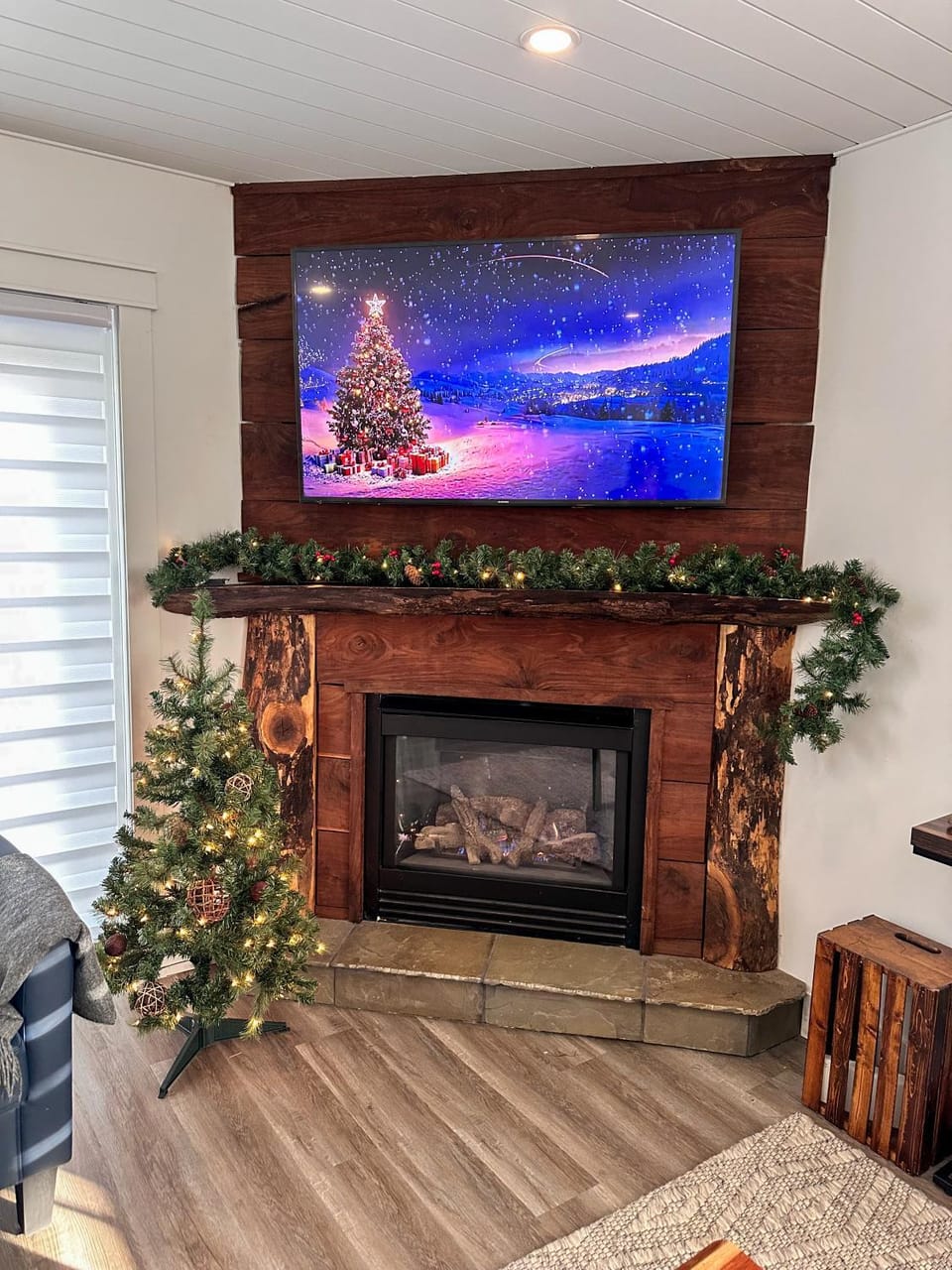 TV and multimedia