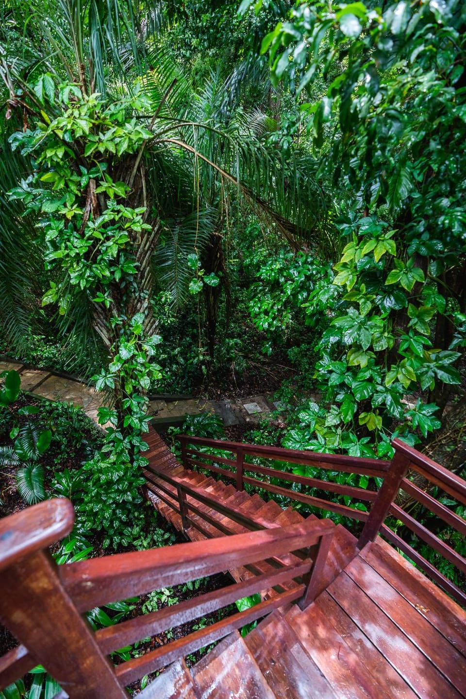 Anjali Inn in State of Bahia