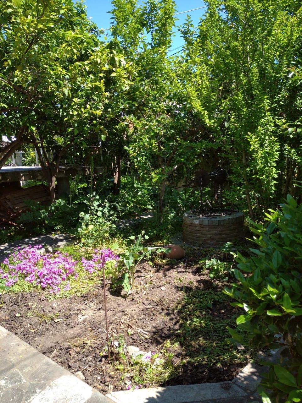 Garden, Garden