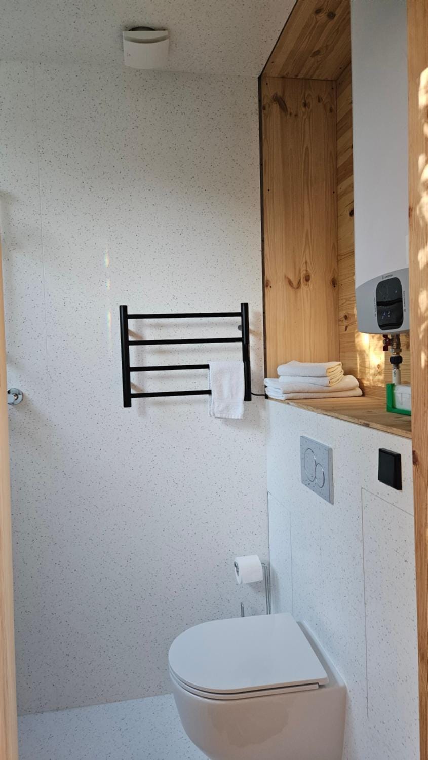 Toilet, Bathroom