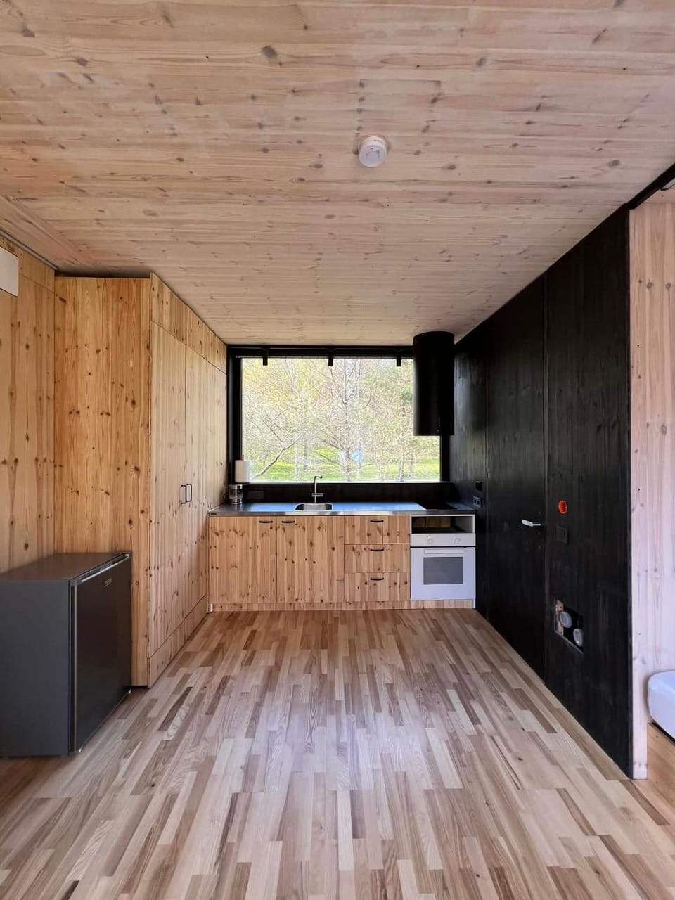 Kitchen or kitchenette, oven