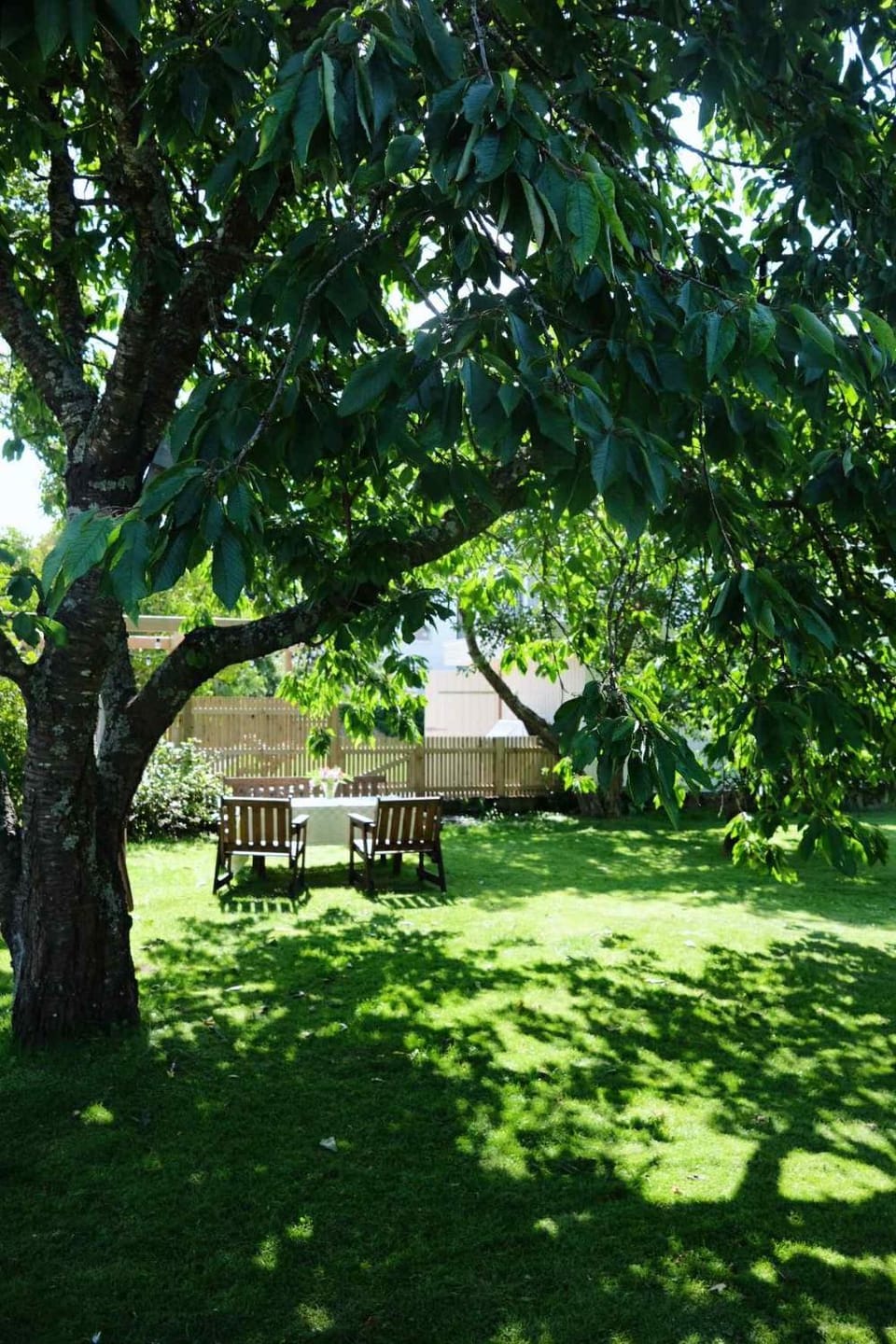 Lägenhet med trädgård nära stad och hav Apartment in Denmark