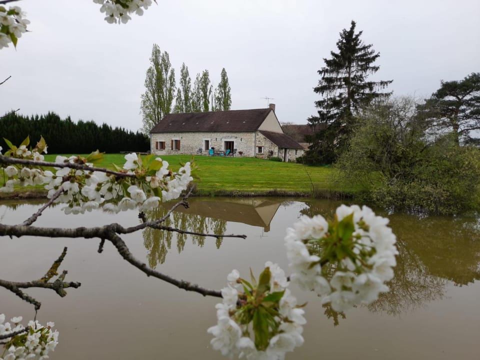 Property building, Natural landscape, River view