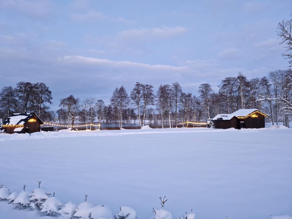 Day, Natural landscape, Winter
