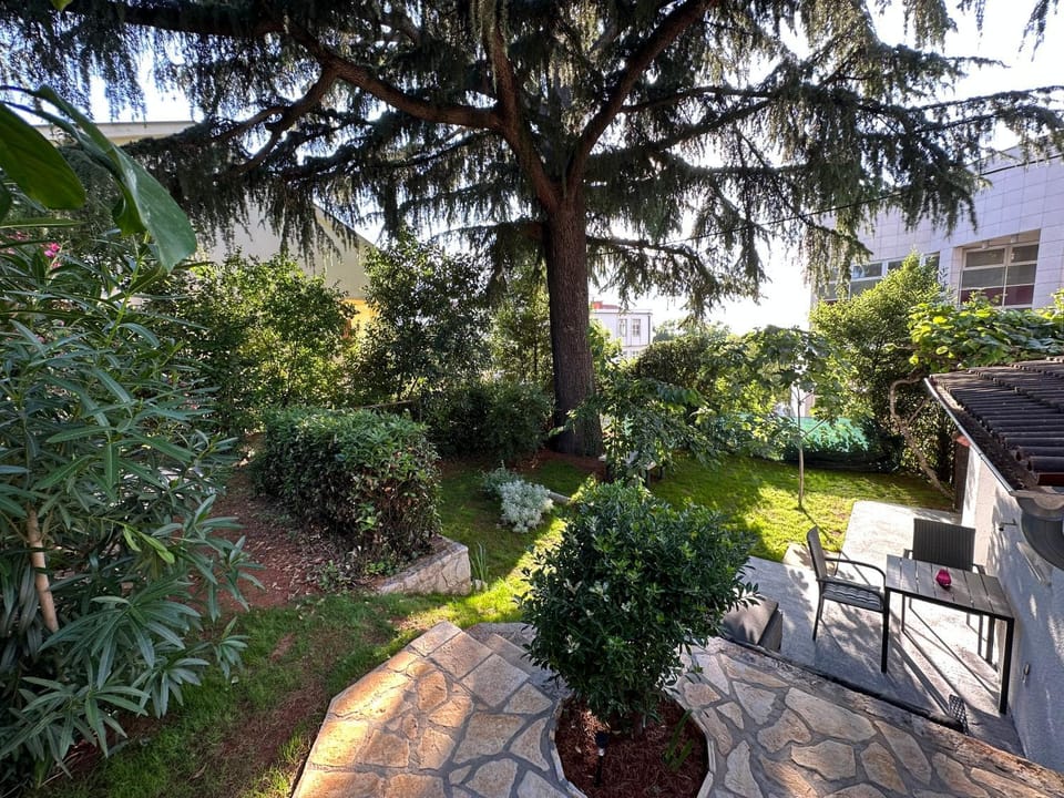 Spring, Day, Garden, Garden view