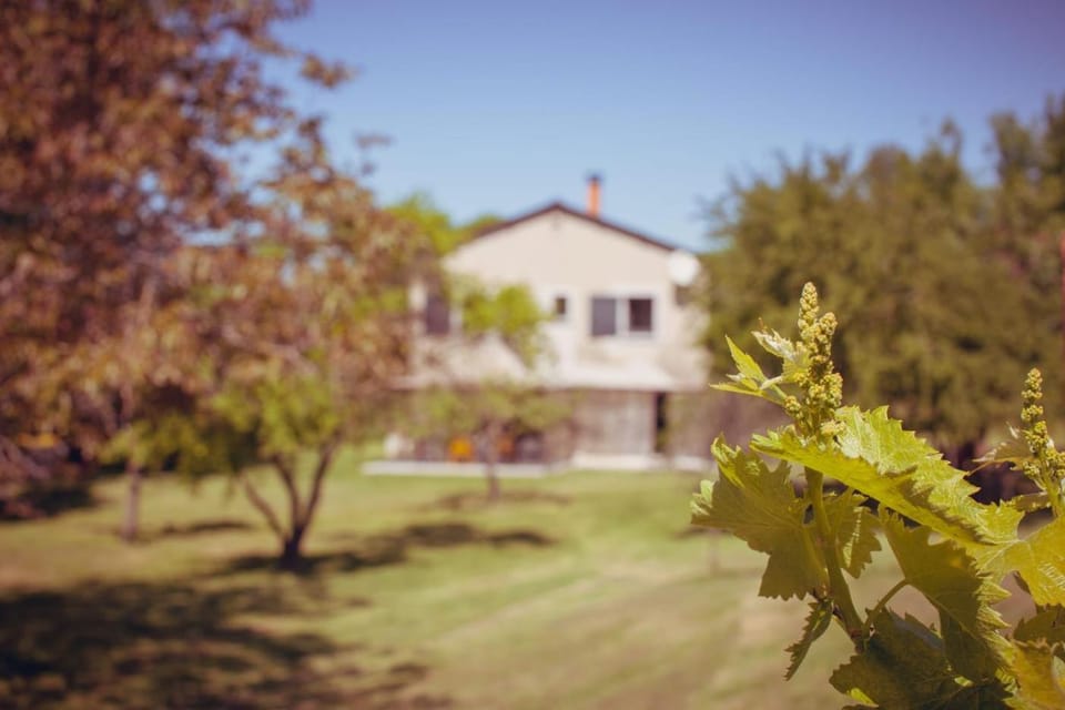 maison de famille en pleine nature House in Provence-Alpes-Côte d'Azur