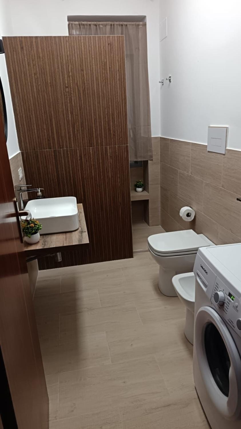 Shower, Toilet, Bathroom, bidet, towels, washing machine