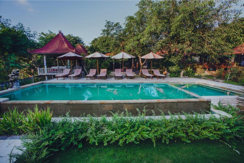 Swimming pool, Swimming pool