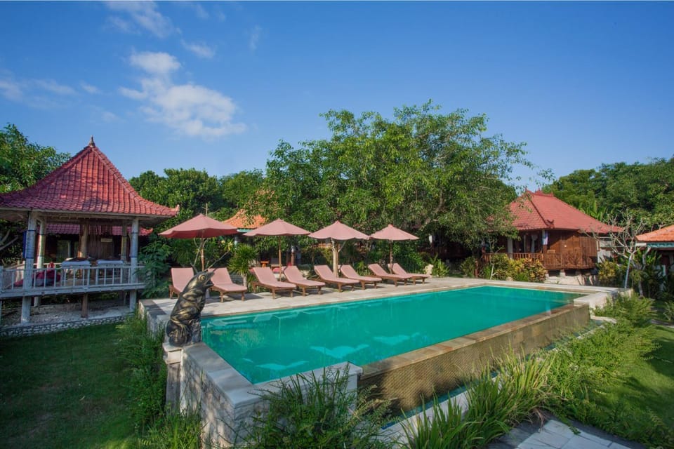 Garden, Pool view, Swimming pool
