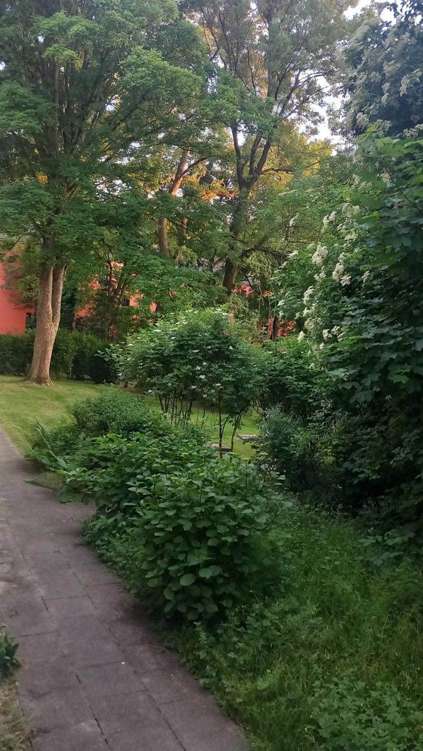 Garden, Garden view
