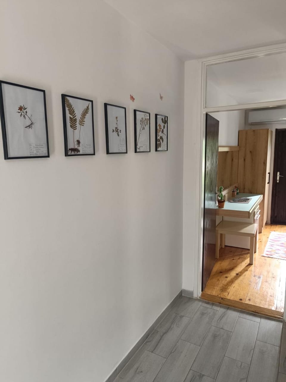 WIN apartment Apartment in Montenegro