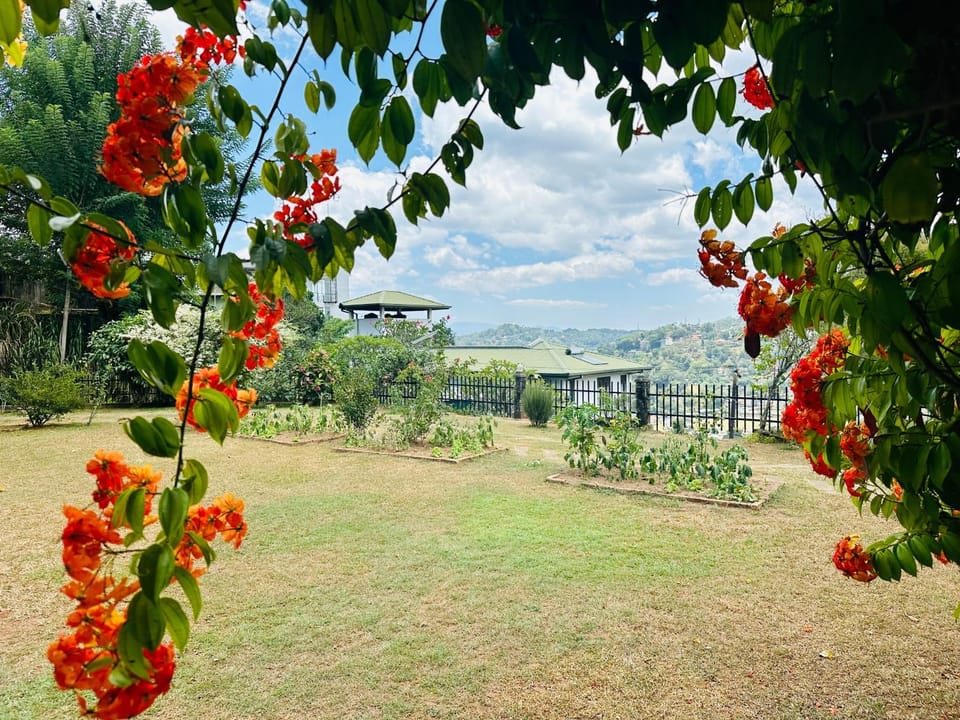 Day, Natural landscape, Garden, Garden view