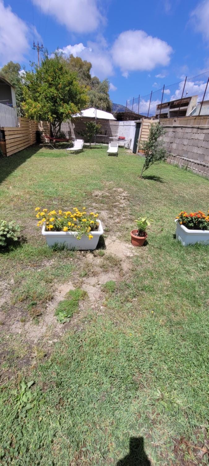 Day, Garden, Garden view