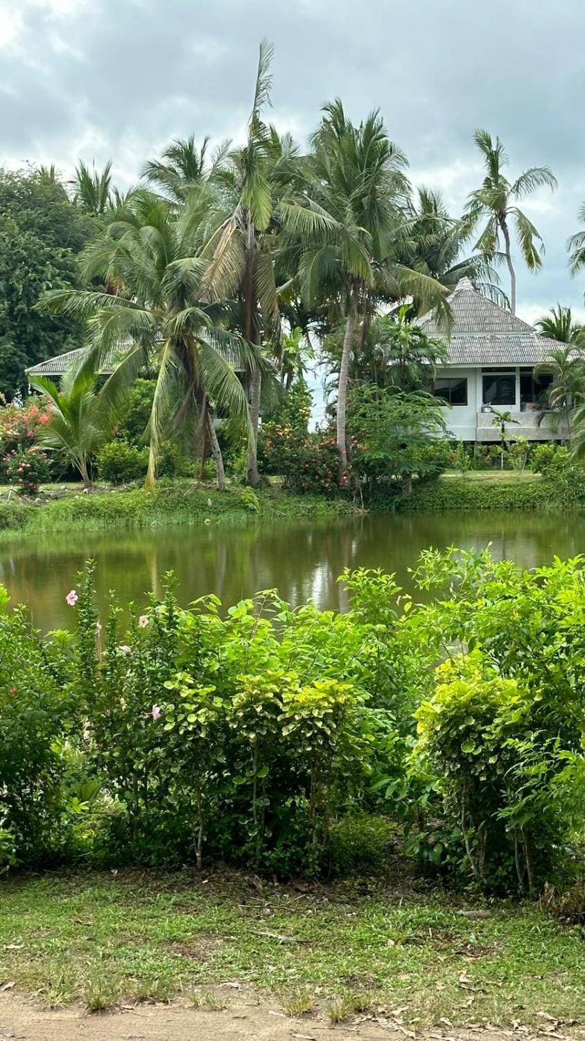 Lake view