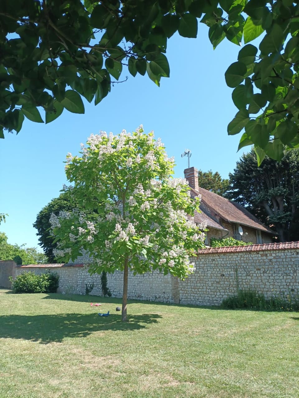 Inner courtyard view