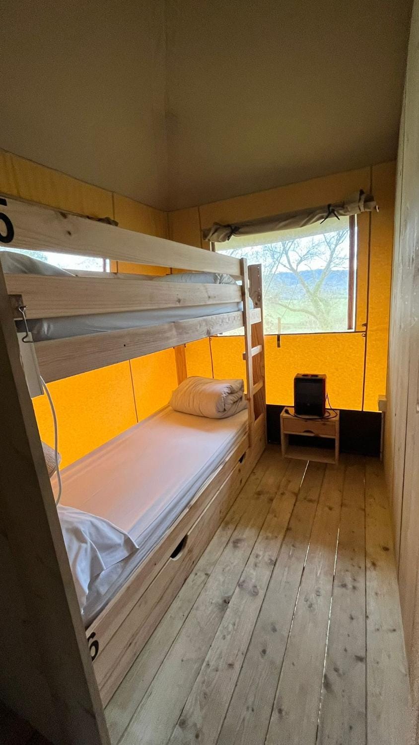 Photo of the whole room, Bedroom, bunk bed