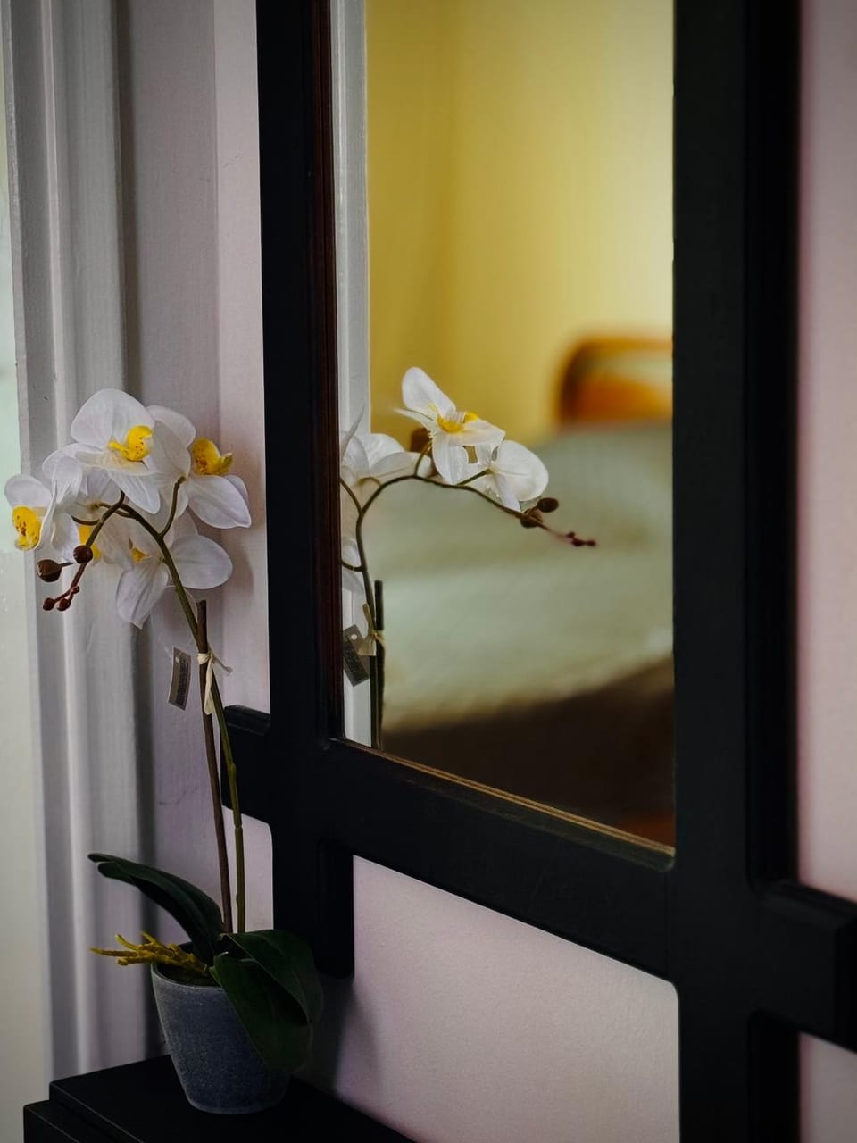 Sunlight apartment Apartment in Nea Peramos