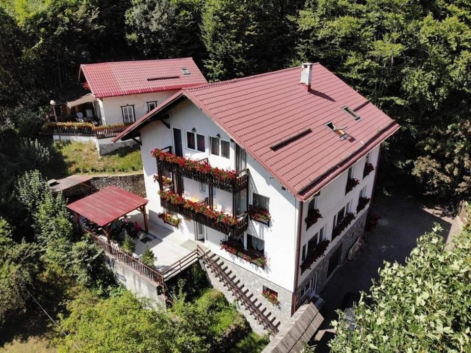 Vila Thomas Bed and Breakfast in Sinaia