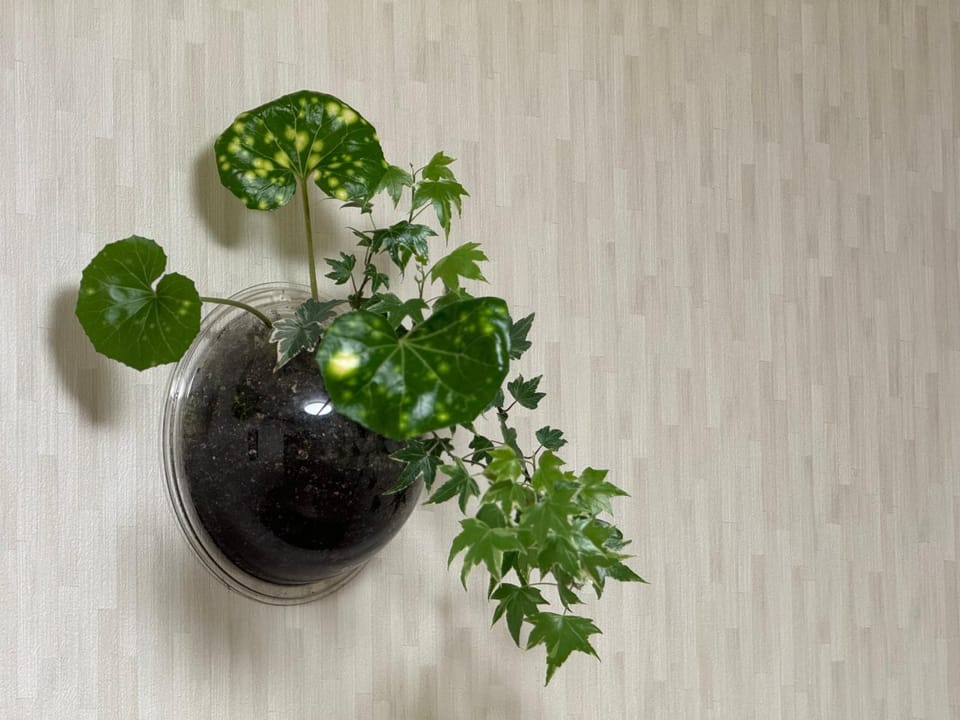 コテージ蘭峰 House in Shizuoka Prefecture