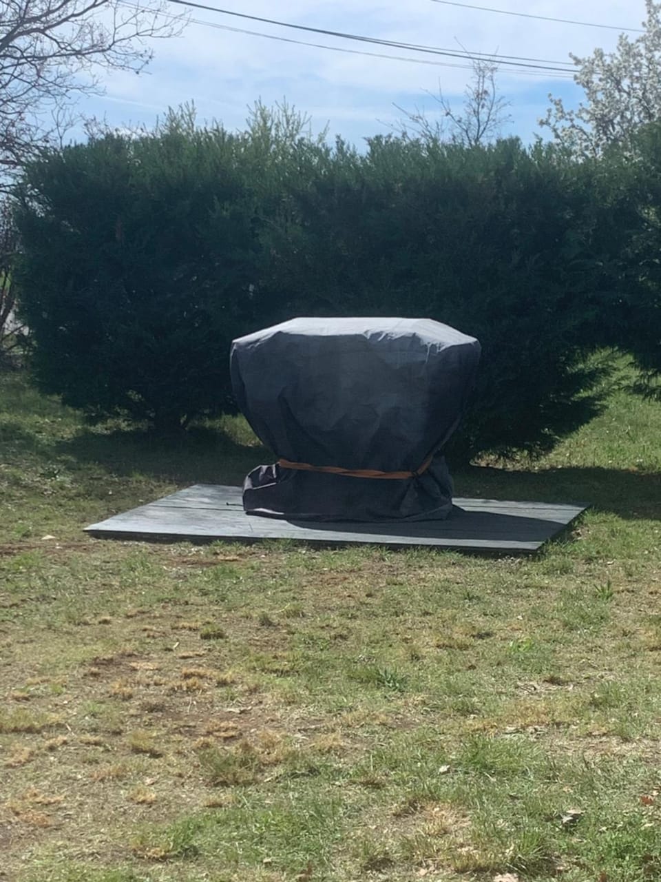 Natural landscape, BBQ facilities, Garden