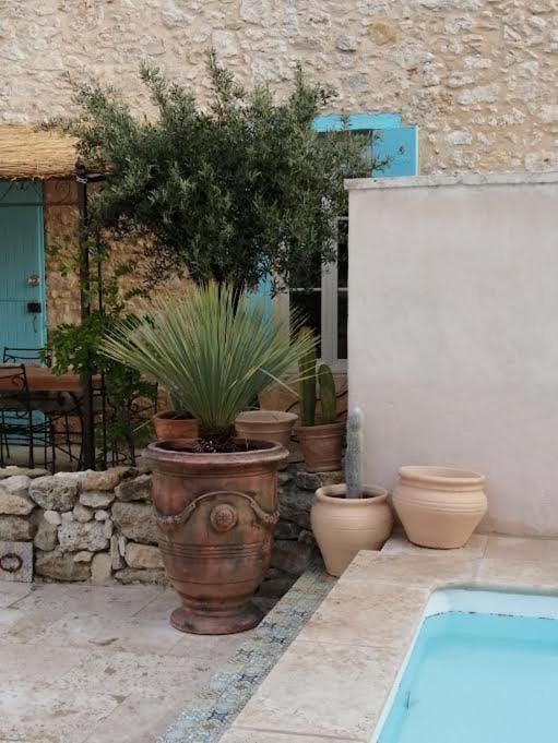 Mazet A l Ombre des Z ' oliviers House in Occitanie