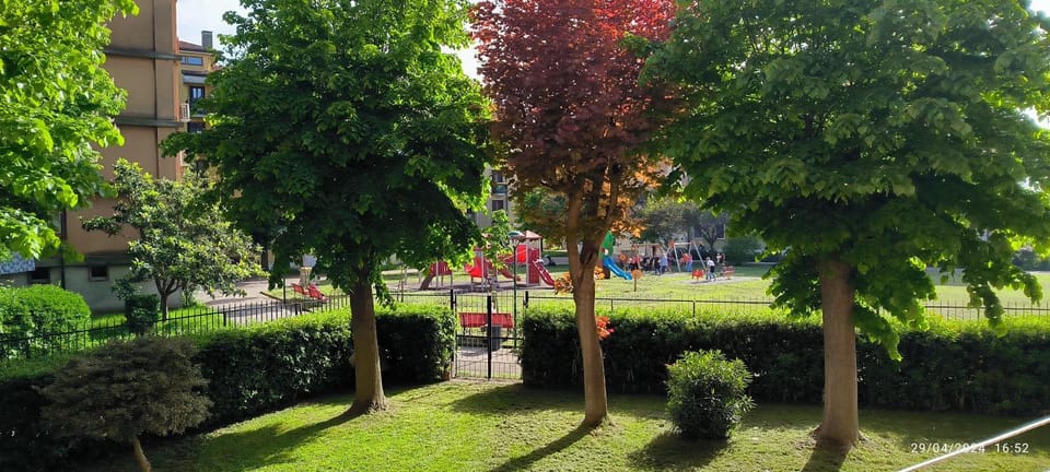 Garden view