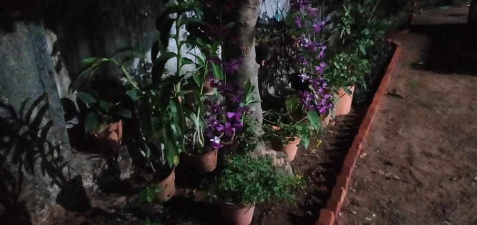 Garden, Garden view