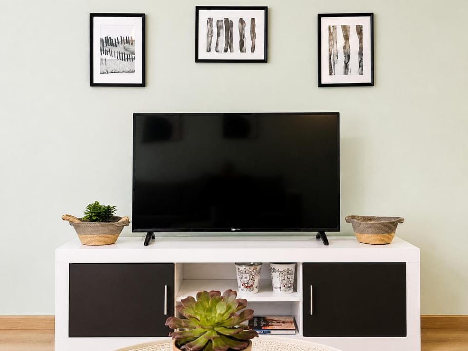 TV and multimedia