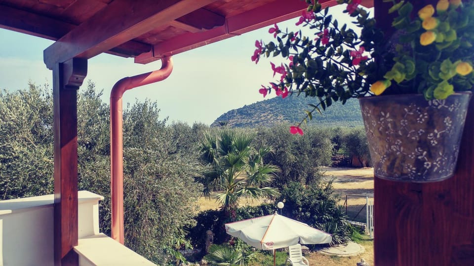 Garden, Balcony/Terrace