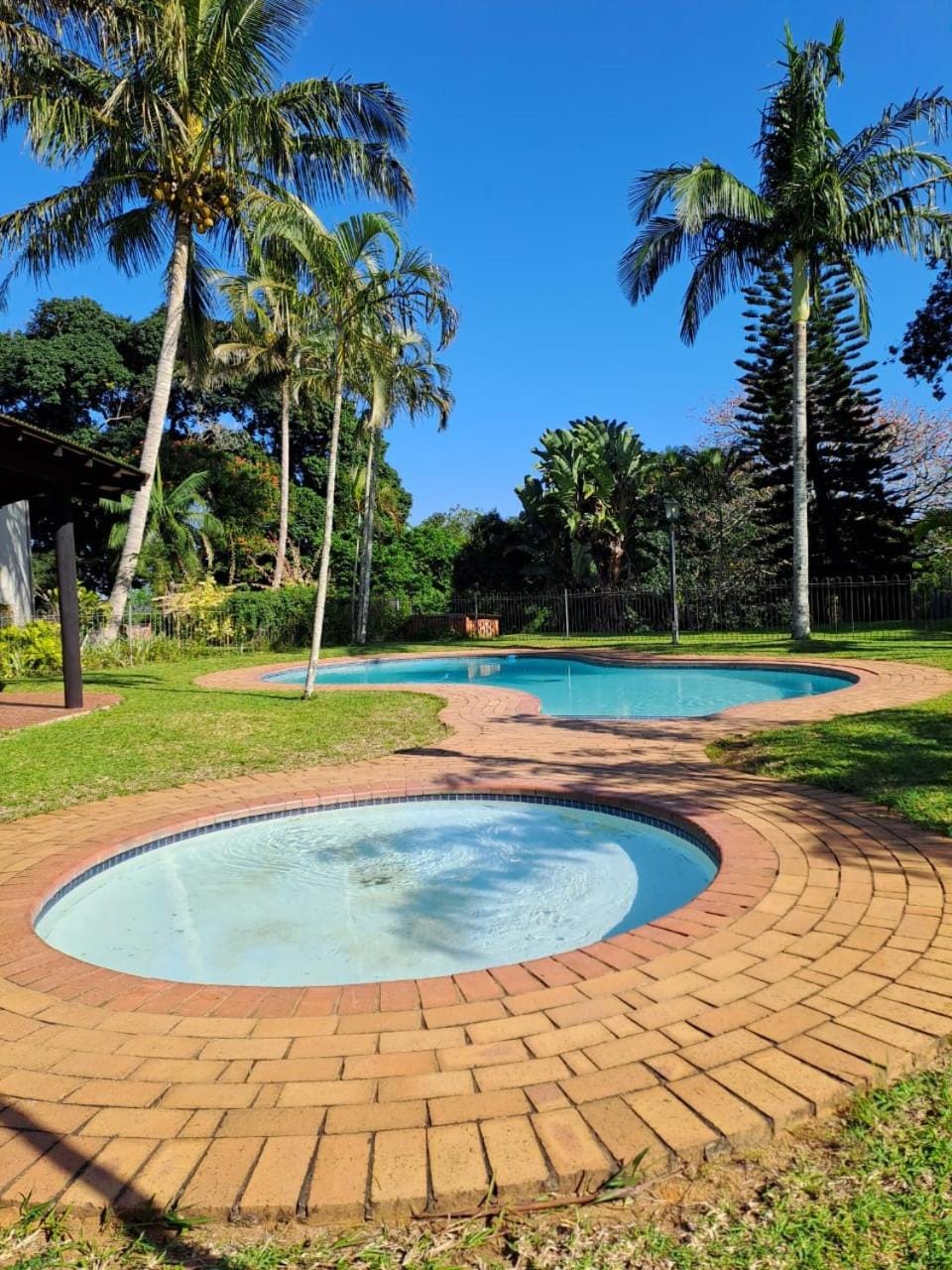 Day, Natural landscape, Garden, Garden view, Swimming pool