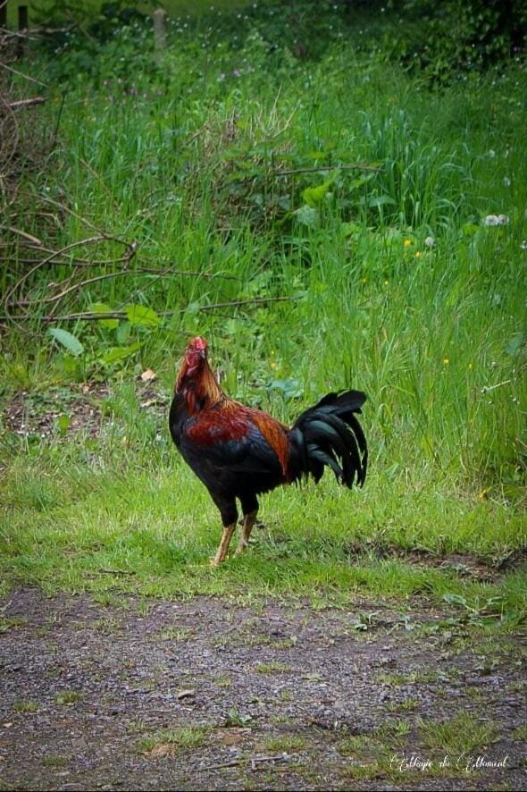 Camping La sablière Campground/ 
RV Resort in Flanders