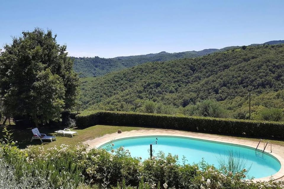 Garden, Balcony/Terrace