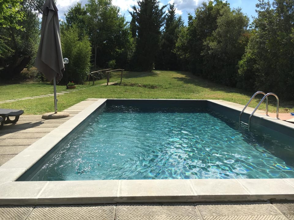 Summer, On site, Swimming pool, Swimming pool