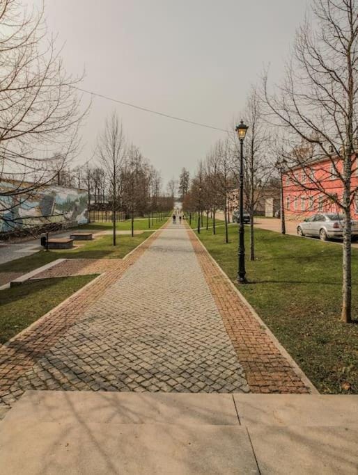 Spring, Neighbourhood, Natural landscape, Street view, Location