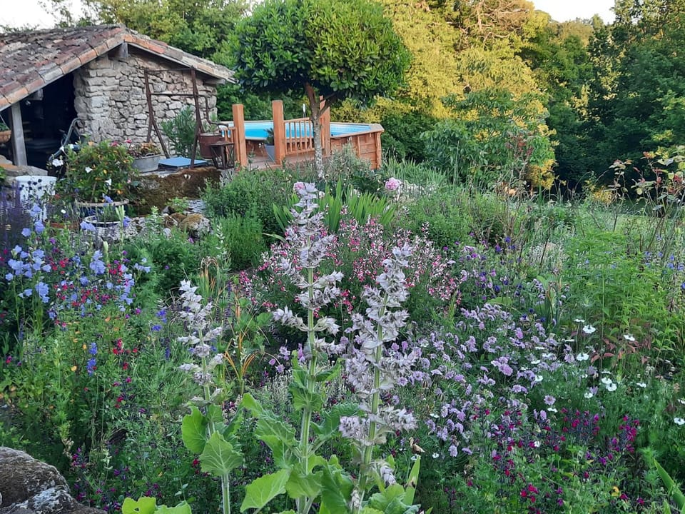 Garden, Swimming pool